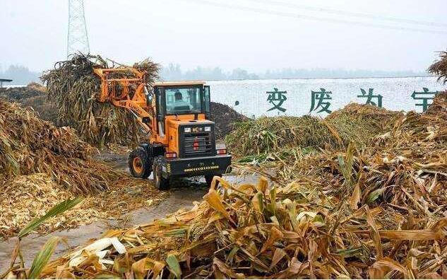 黑土地上的‘秸稈經(jīng)紀人’要讓秸稈牛起來，變成‘寶’