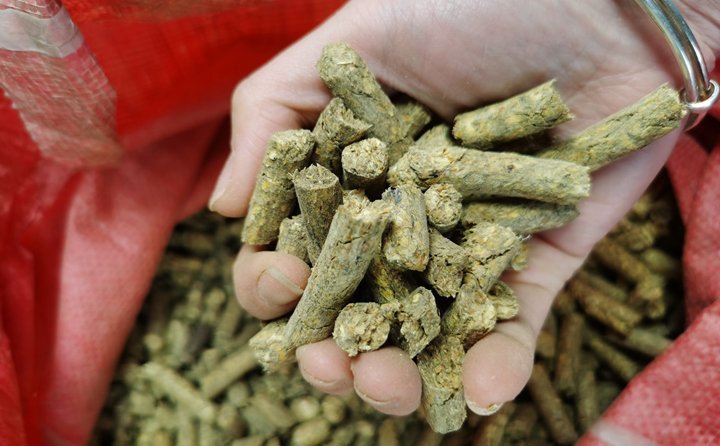 秸稈顆粒機就是將粉碎后的秸稈制成顆粒飼料，用于飼喂牛羊